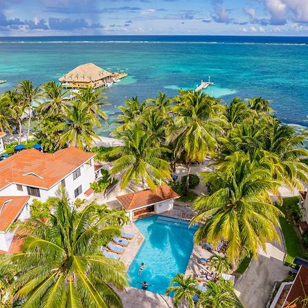 Tradewinds Paradise Villas San Pedro (Ambergris Caye) Exterior foto