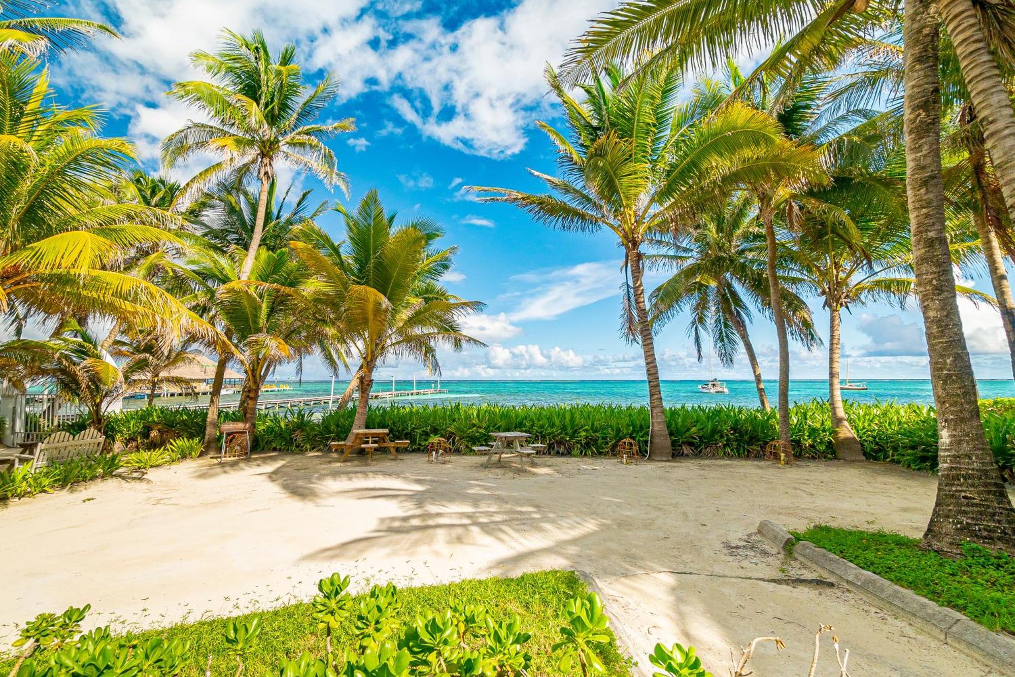 Tradewinds Paradise Villas San Pedro (Ambergris Caye) Exterior foto